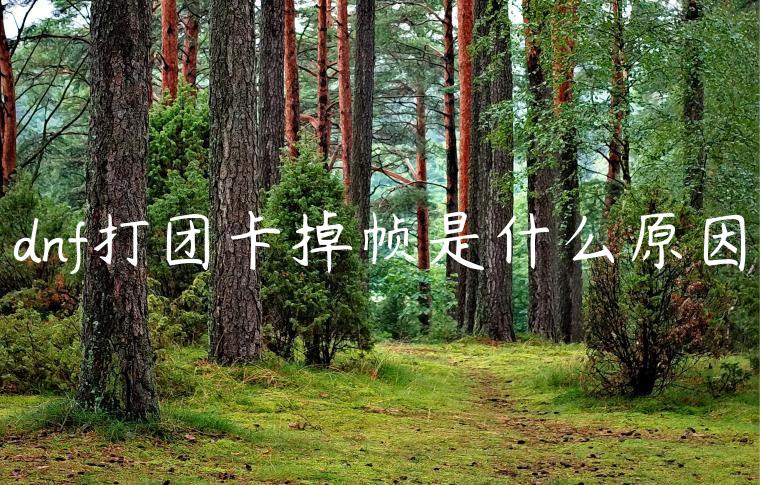 dnf打团卡掉帧是什么原因