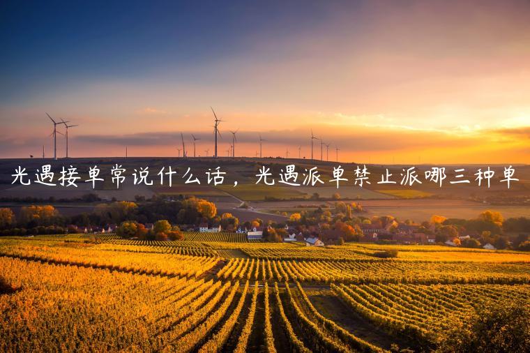 光遇接单常说什么话，光遇派单禁止派哪三种单