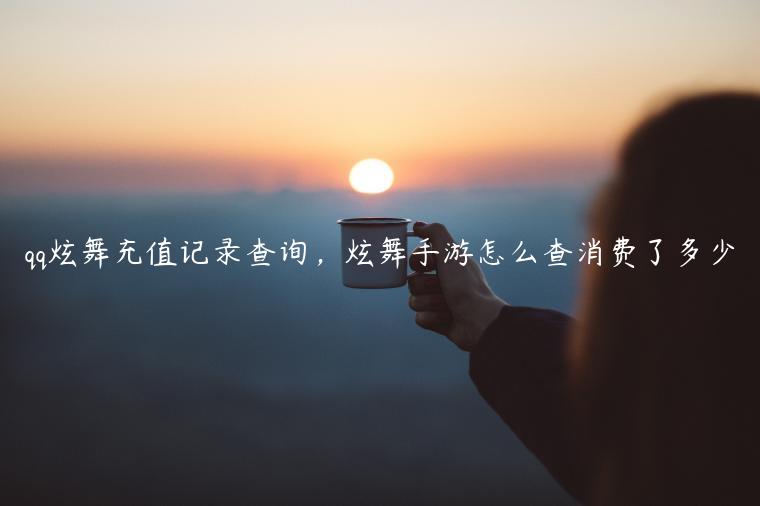 qq炫舞充值记录查询，炫舞手游怎么查消费了多少