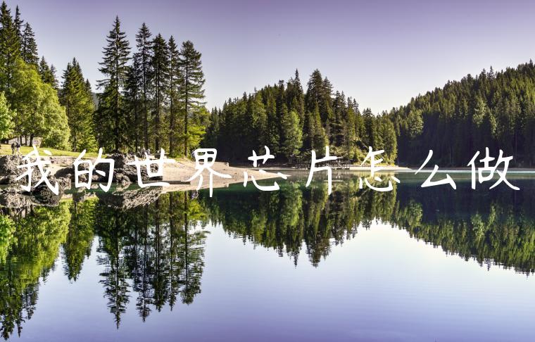 我的世界芯片怎么做