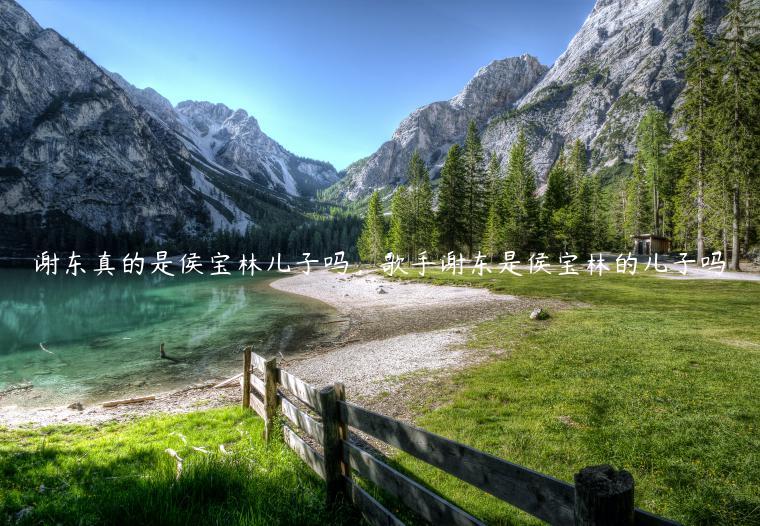 谢东真的是侯宝林儿子吗，歌手谢东是侯宝林的儿子吗