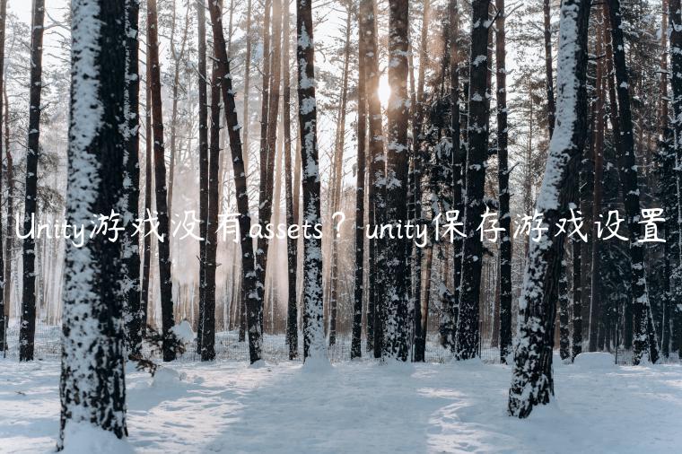 Unity游戏没有assets？unity保存游戏设置