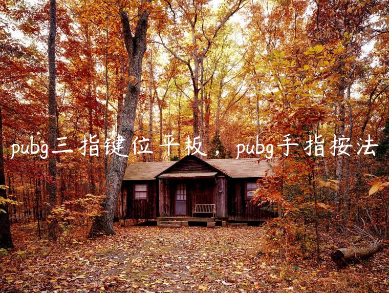 pubg三指键位平板，pubg手指按法