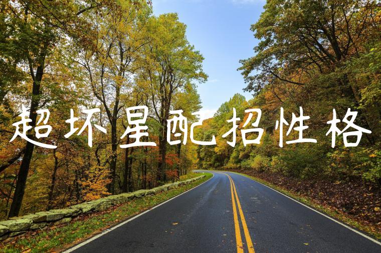 超坏星配招性格
