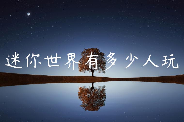 迷你世界有多少人玩