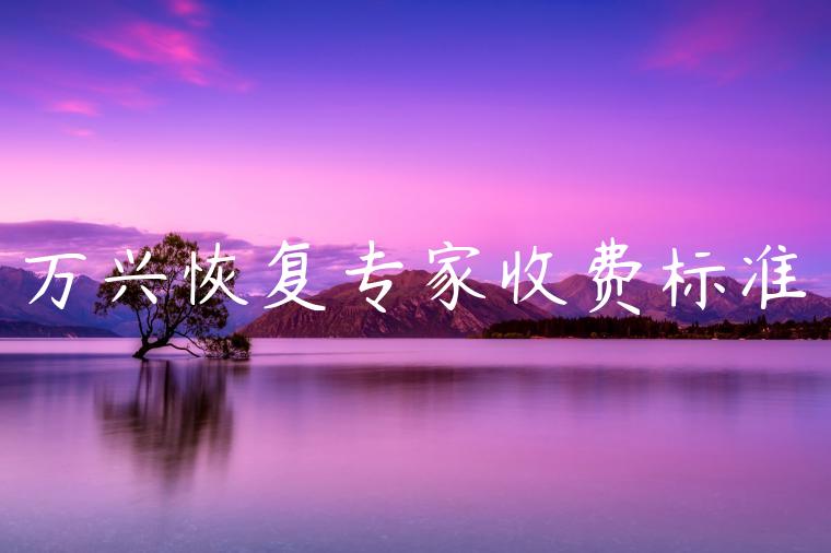 万兴恢复专家收费标准