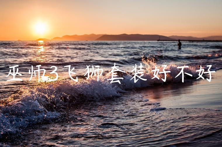 巫师3飞狮套装好不好