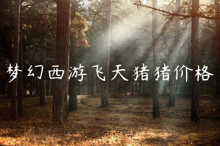 梦幻西游飞天猪猪价格