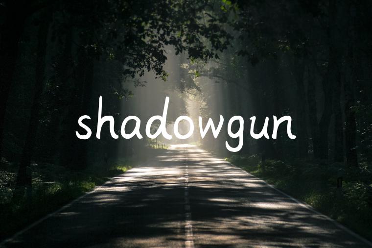 shadowgun
