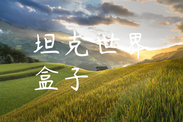 坦克世界盒子