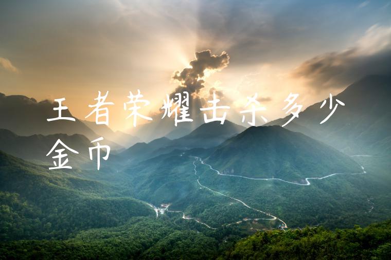 王者荣耀击杀多少金币
