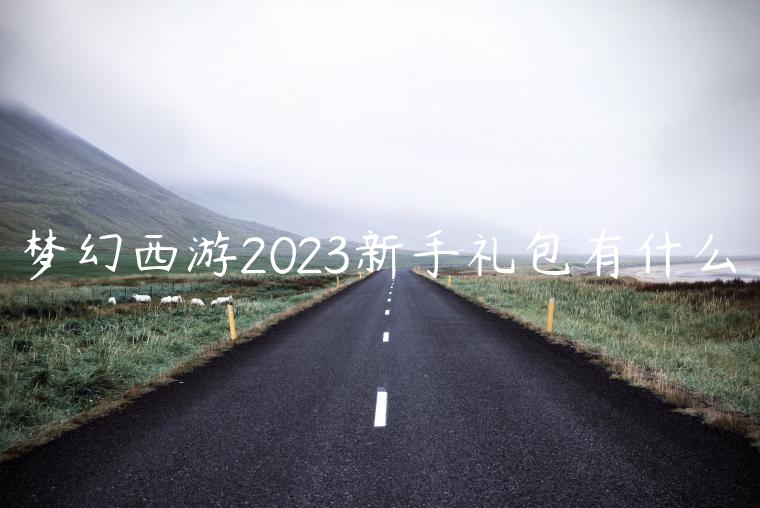 梦幻西游2023新手礼包有什么