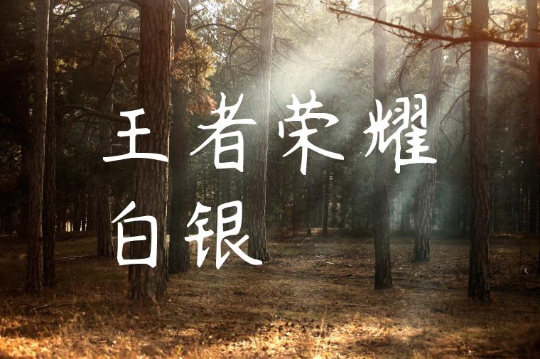 王者荣耀白银