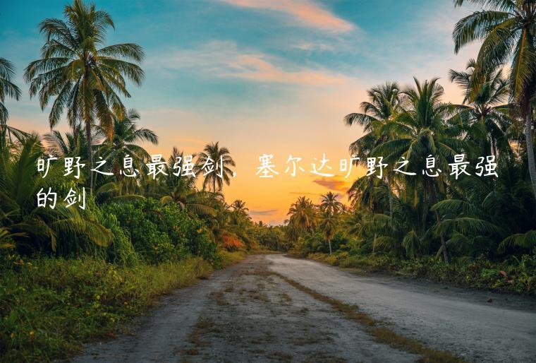 旷野之息最强剑，塞尔达旷野之息最强的剑