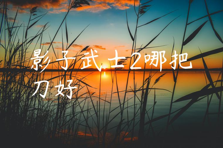 影子武士2哪把刀好