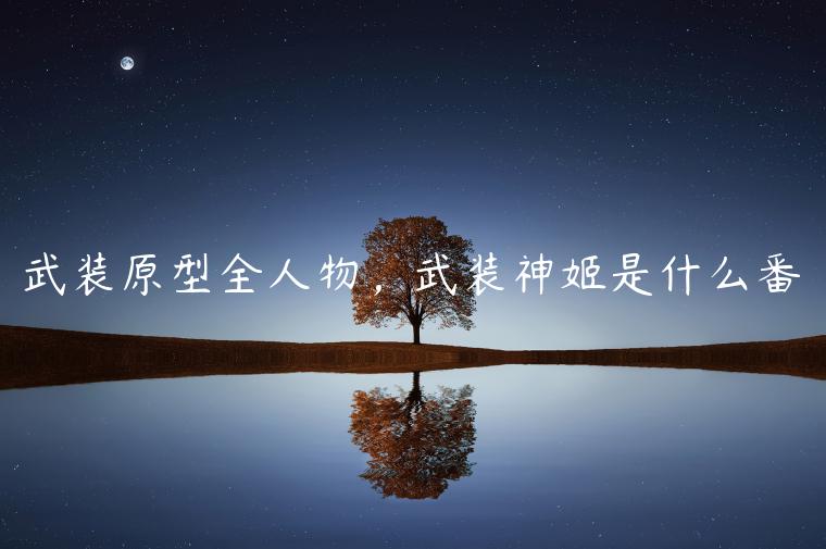 武装原型全人物，武装神姬是什么番