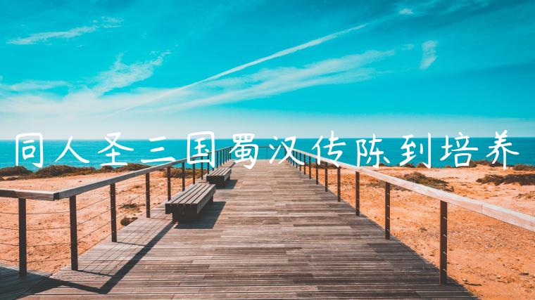 同人圣三国蜀汉传陈到培养