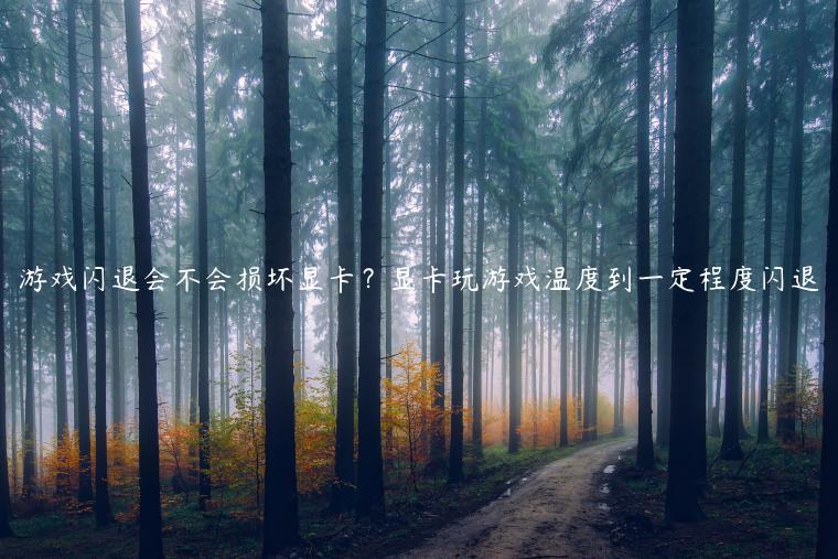游戏闪退会不会损坏显卡？显卡玩游戏温度到一定程度闪退