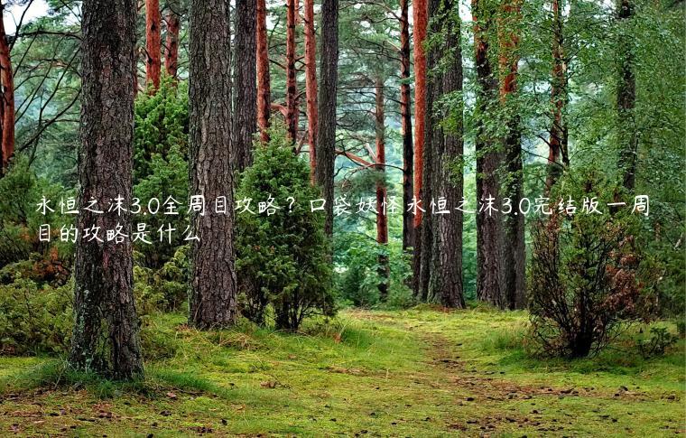 永恒之沫3.0全周目攻略？口袋妖怪永恒之沫3.0完结版一周目的攻略是什么