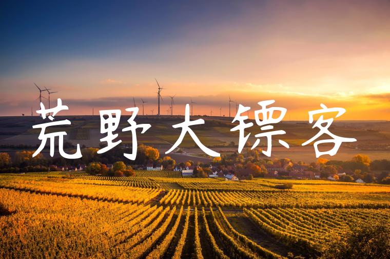 荒野大镖客