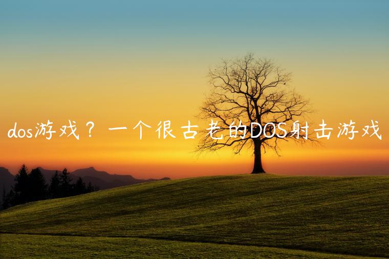 dos游戏？一个很古老的DOS射击游戏