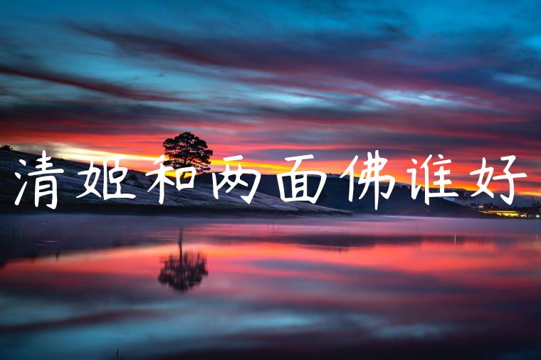 清姬和两面佛谁好