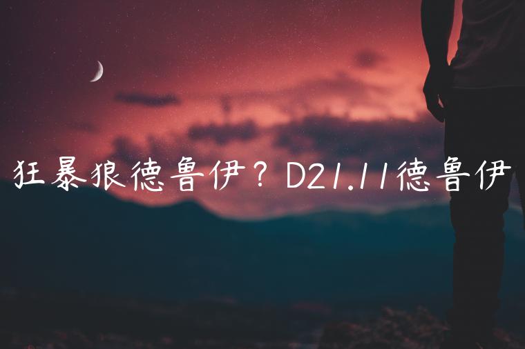 狂暴狼德鲁伊？D21.11德鲁伊