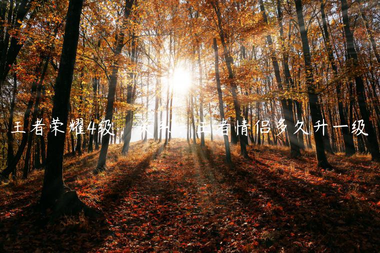 王者荣耀4级，关系，王者情侣多久升一级