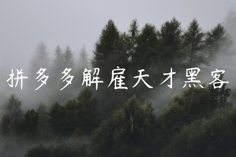 拼多多解雇天才黑客