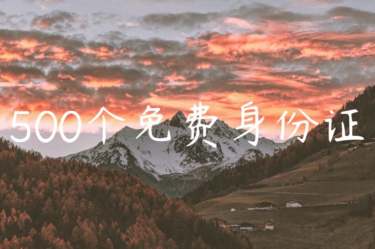 500个免费身份证