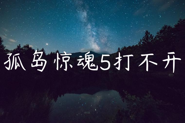 孤岛惊魂5打不开