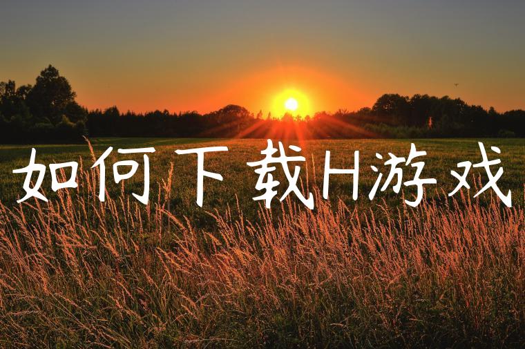 如何下载H游戏