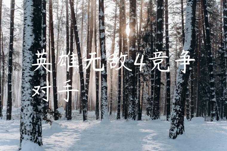 英雄无敌4竞争对手