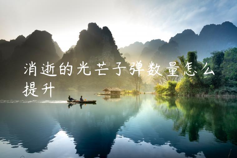 消逝的光芒子弹数量怎么提升