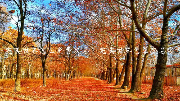 完美世界怎么免费改名？完美世界怎么改名字