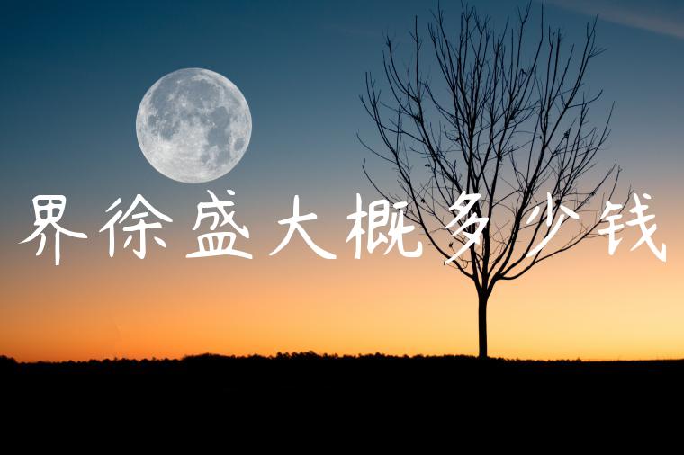 界徐盛大概多少钱