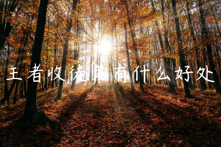 王者收徒弟有什么好处
