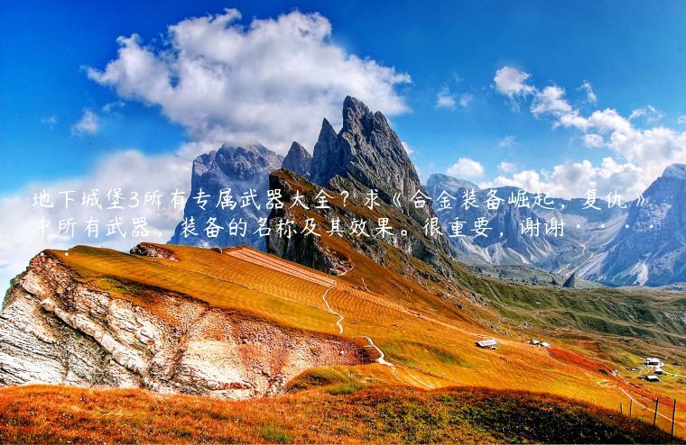 地下城堡3所有专属武器大全？求《合金装备崛起，复仇》中所有武器，装备的名称及其效果。很重要，谢谢······