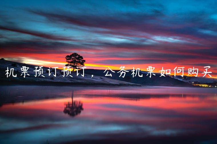 机票预订预订，公务机票如何购买