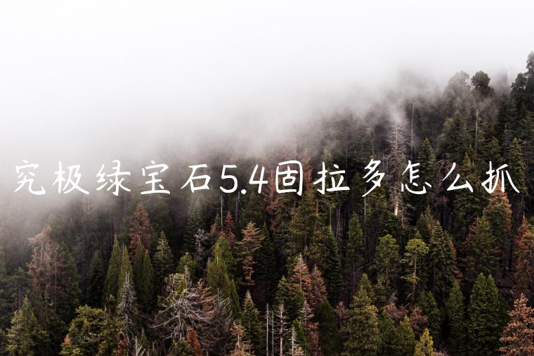 究极绿宝石5.4固拉多怎么抓