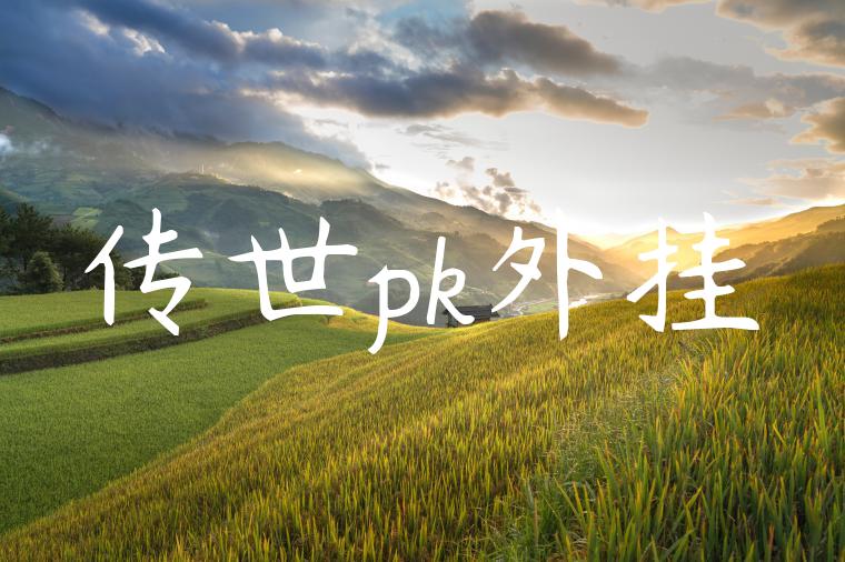 传世pk外挂