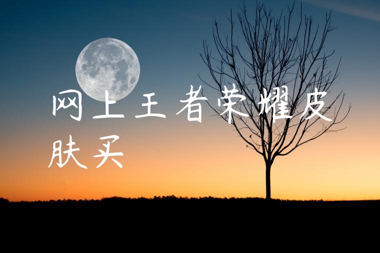 网上王者荣耀皮肤买