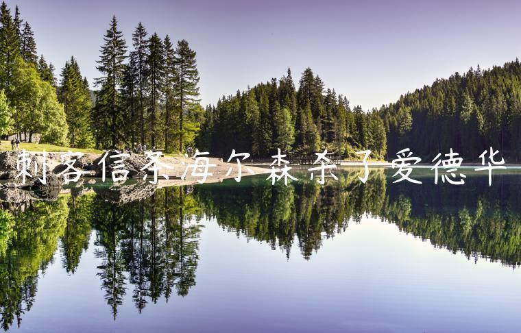 刺客信条海尔森杀了爱德华