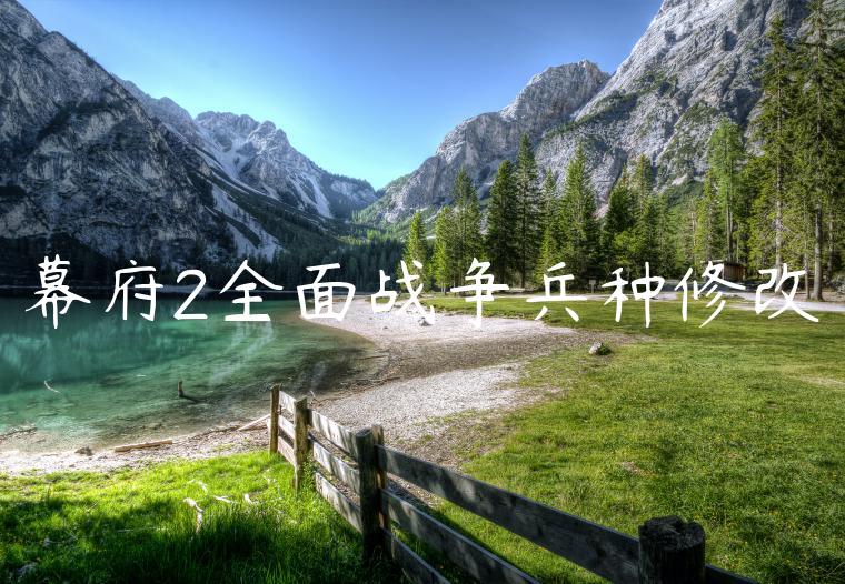 幕府2全面战争兵种修改