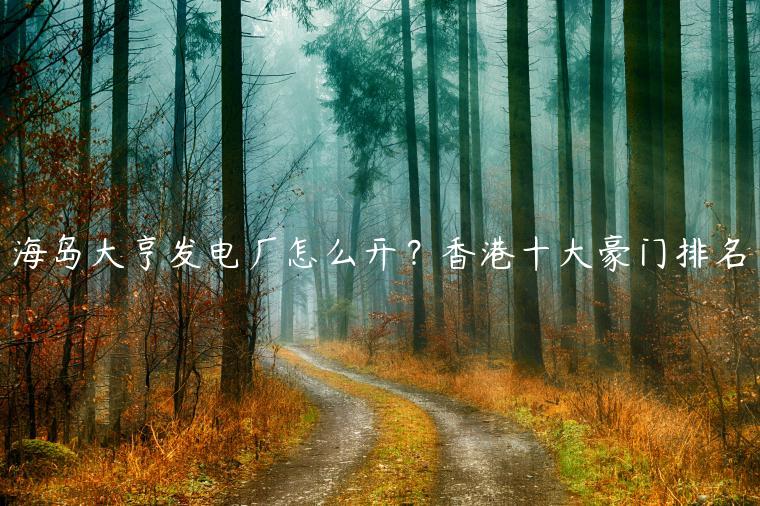 海岛大亨发电厂怎么开？香港十大豪门排名