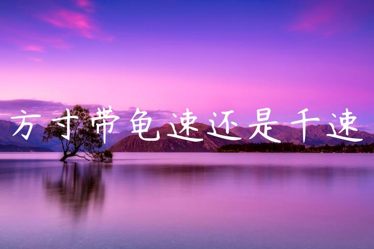 方寸带龟速还是千速