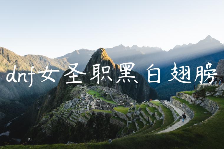 dnf女圣职黑白翅膀