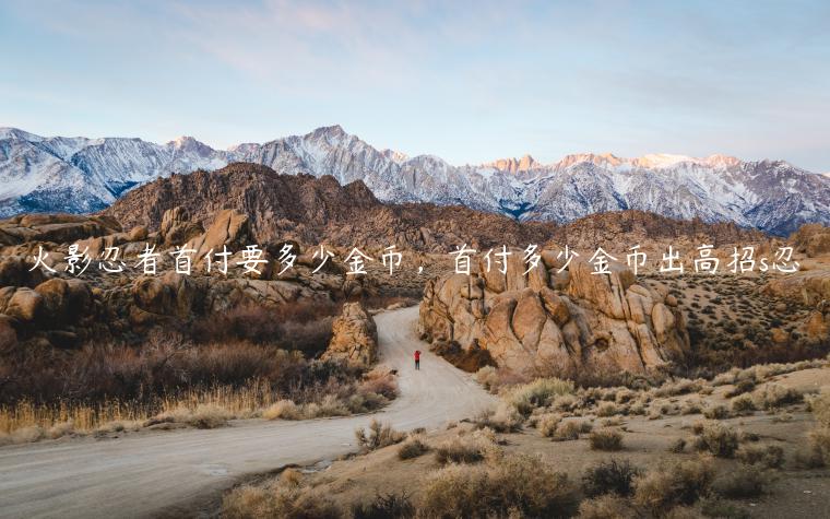 火影忍者首付要多少金币，首付多少金币出高招s忍