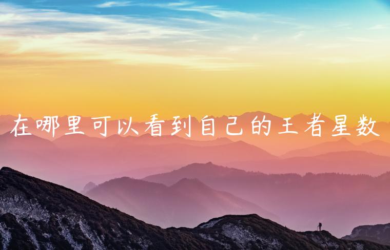 在哪里可以看到自己的王者星数