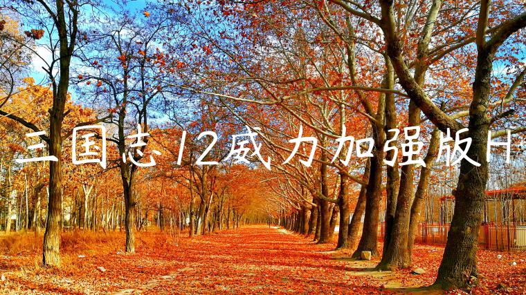三国志12威力加强版H